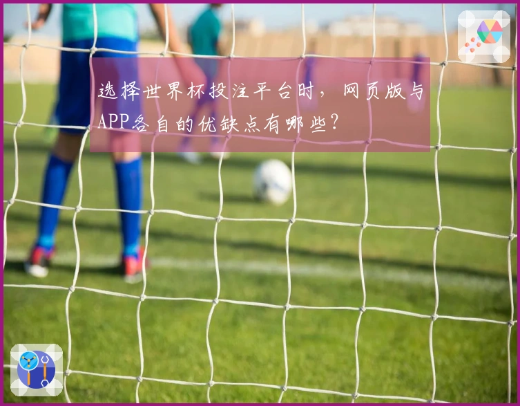 选择世界杯投注平台时，网页版与APP各自的优缺点有哪些？