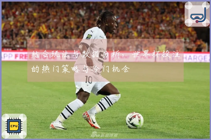 结合玩法与数据分析，世界杯投注的热门策略与冷门机会
