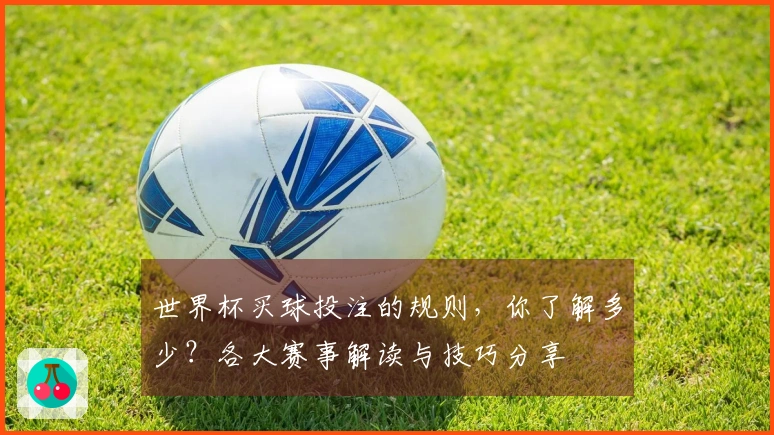 世界杯买球投注的规则，你了解多少？各大赛事解读与技巧分享