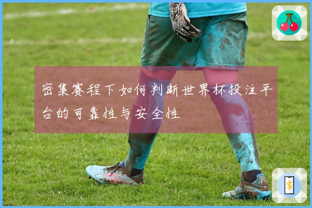 密集赛程下如何判断世界杯投注平台的可靠性与安全性